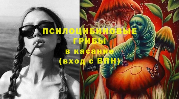 a pvp Алзамай
