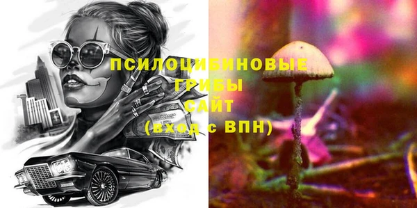a pvp Алзамай